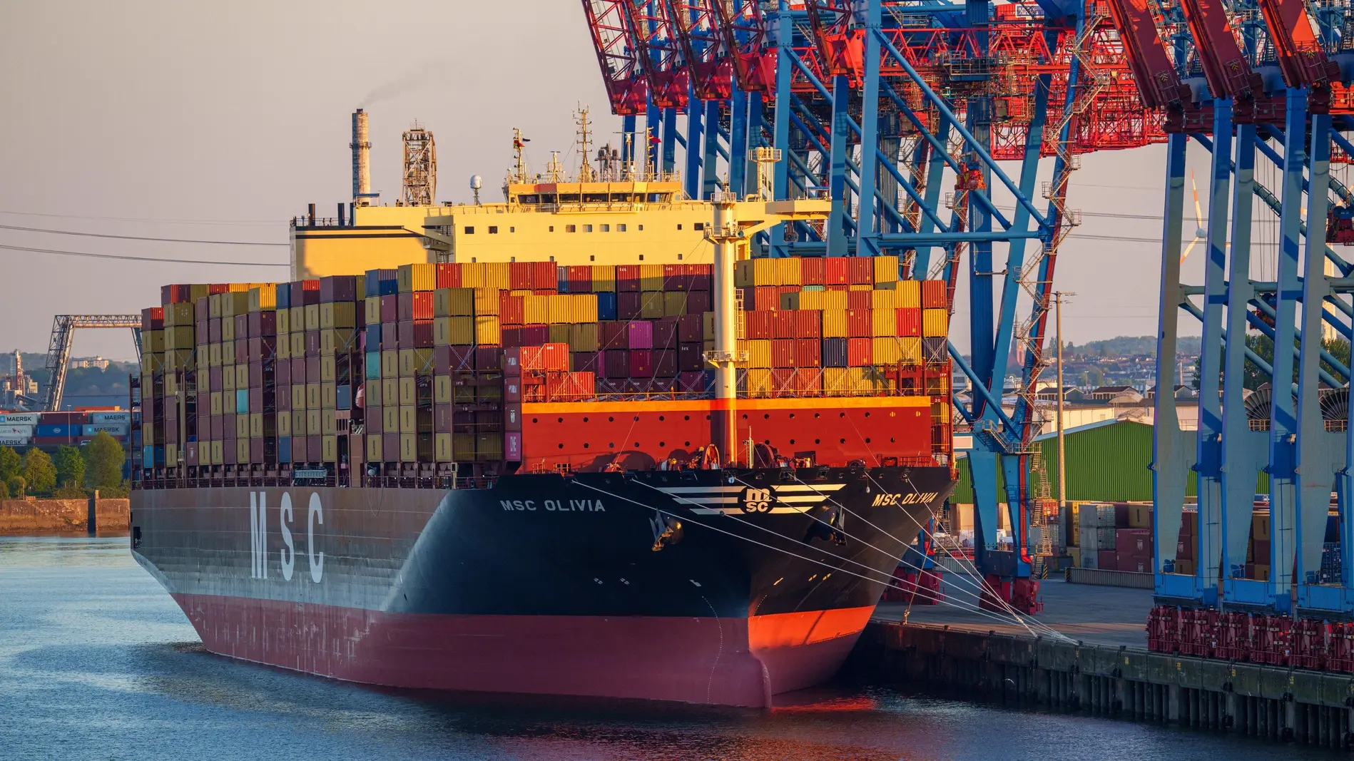 Containerschiff im Hamburger Hafen Das Containerschiff MSC Olivia liegt am Terminal Tollerort im Hamburger Hafen. Mehrere Portalkräne verladen Container bei tief stehender Sonne am Abend