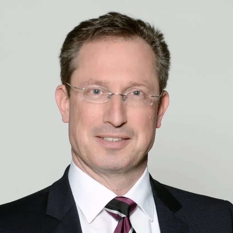 Stephan Thomae im Porträt.