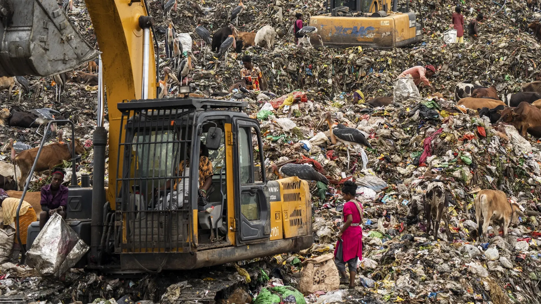 Müllsammler auf der Suche nach wiederverwertbarem Material auf einer Mülldeponie in Assam, Indien