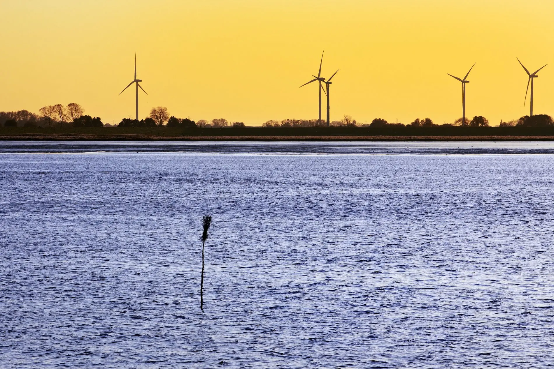 Windräder in der Nordsee Sonnenuntergang im Jagebusen, Nordsee