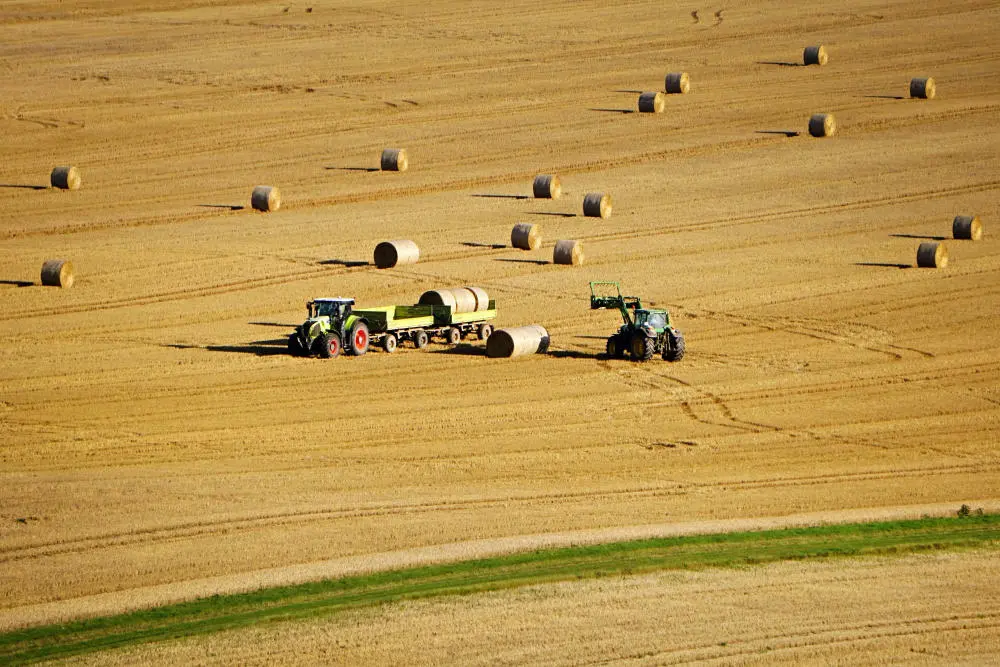 Subventionen für die Landwirtschaft Teleskoplader und Traktor mit zwei Anhängern auf einem Stoppelfeld