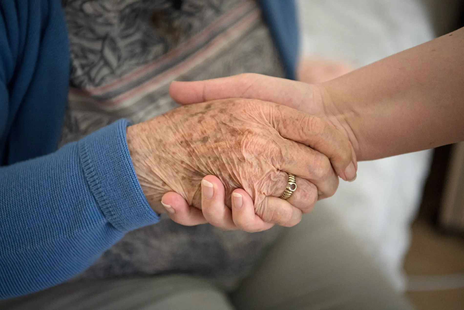 Pflegefachkraft hält die Hand einer Seniorin Eine Aufnahme einer Pflegekraft, die die Hand einer Seniorin hält