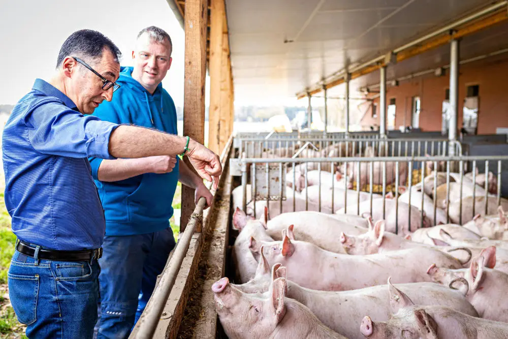 Minister Özdemir besucht einen Schweinehaltungsbetrieb.