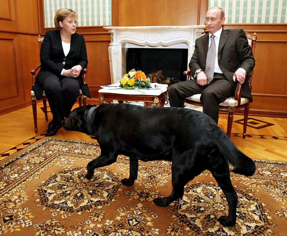 Angela Merkel, Wladimir Putin und dessen Hund bei einem Termin
