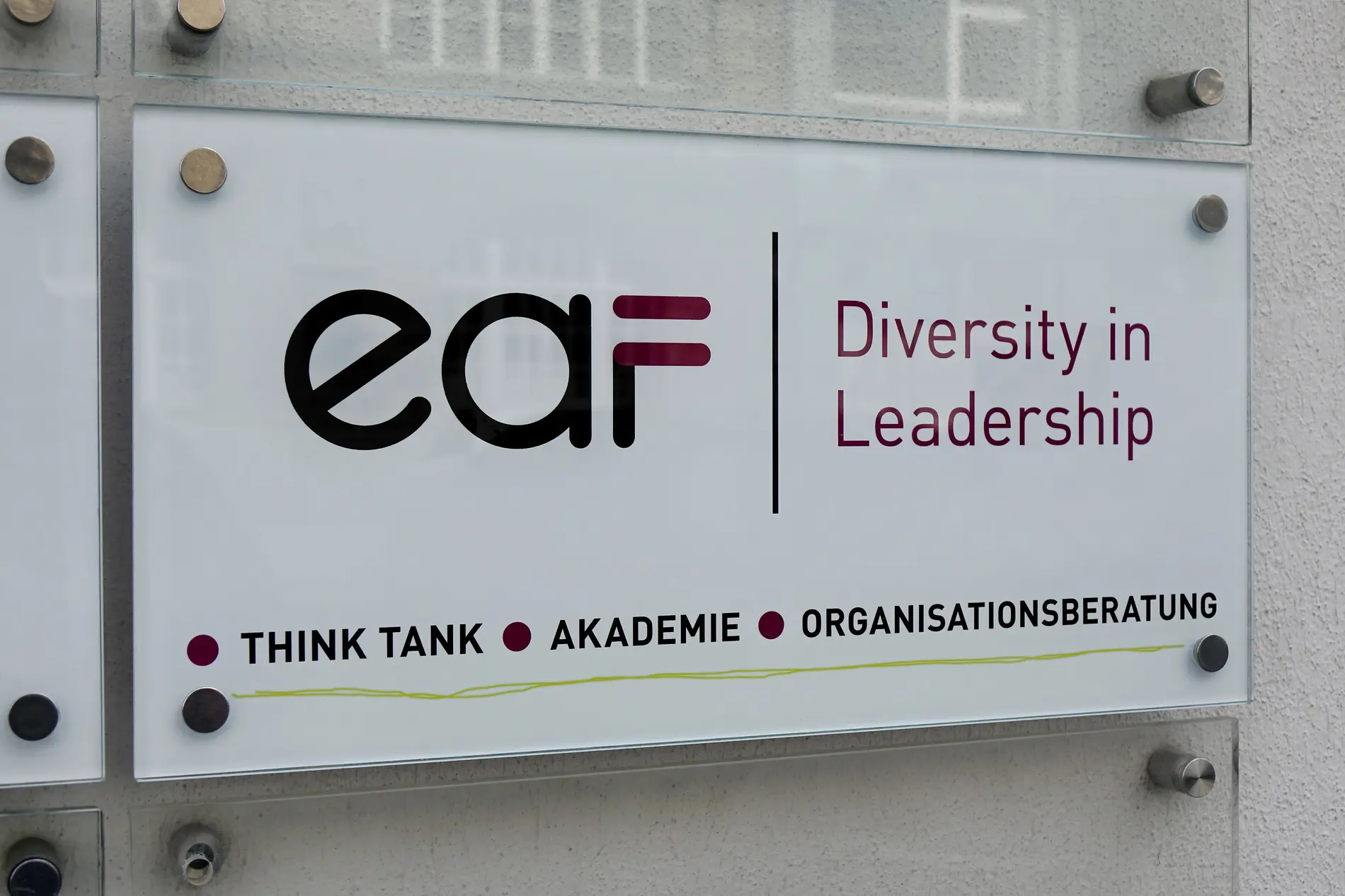 EAF Diversity in Leadership Hausschild EAF Diversity in Leadership