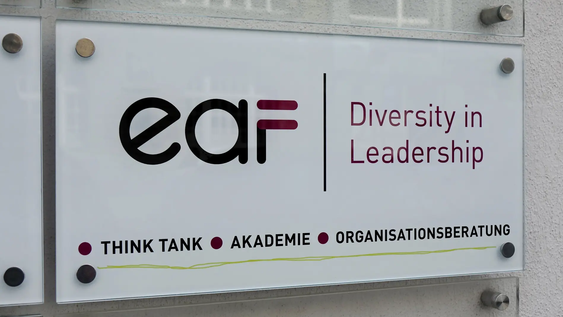 EAF Diversity in Leadership Hausschild EAF Diversity in Leadership