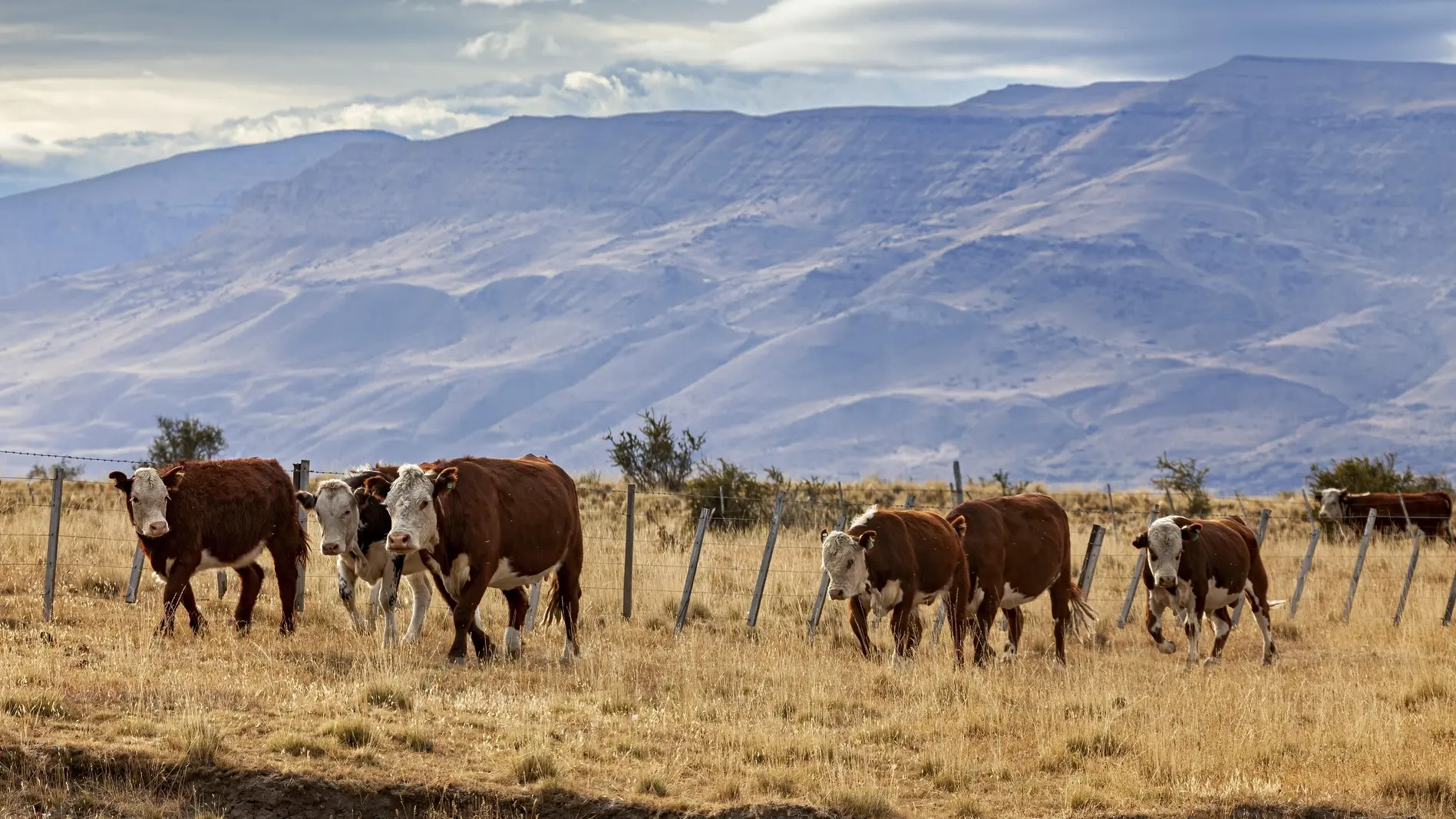Hoffnung liegt auf neuen Märkten im Süden