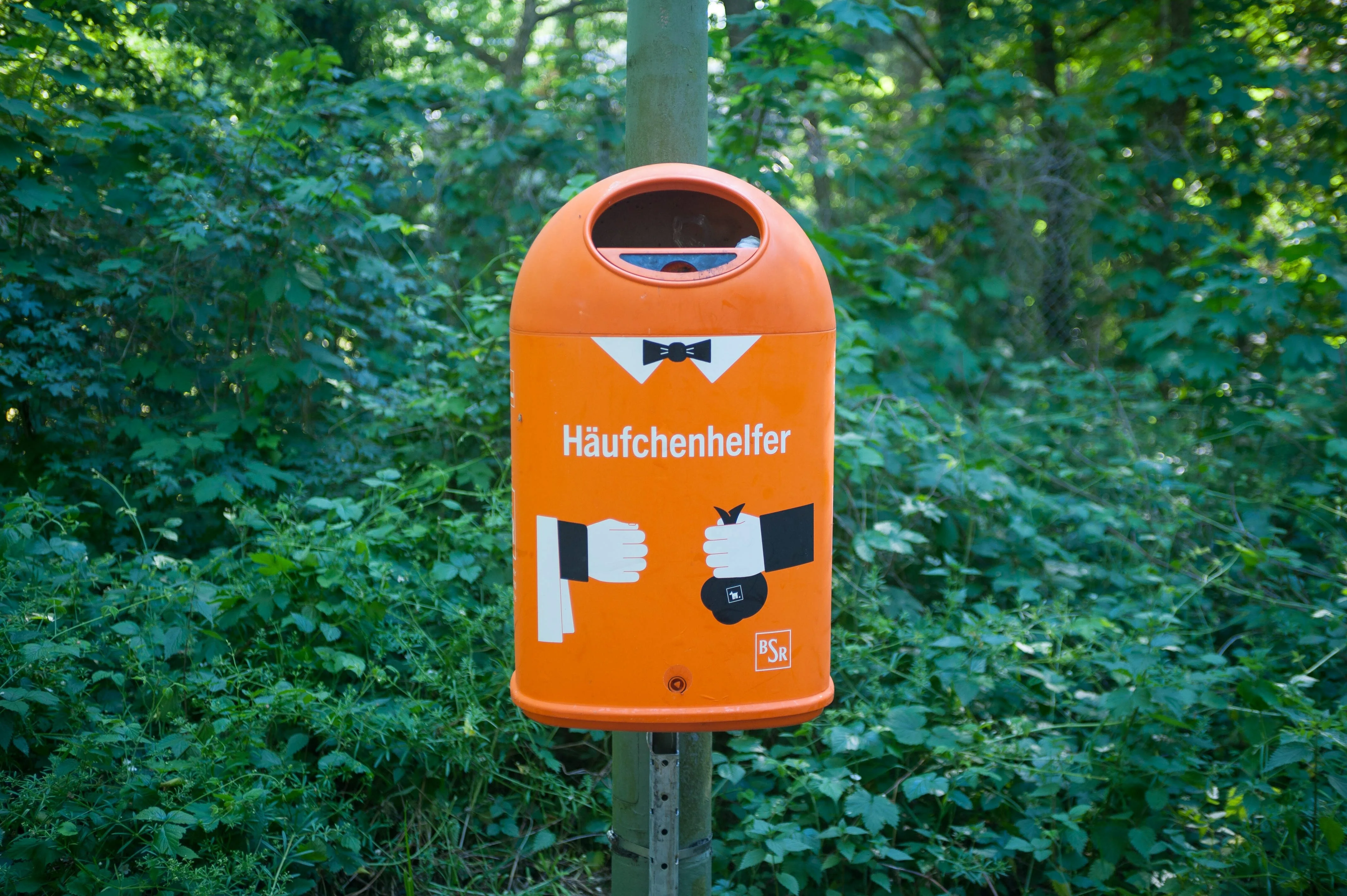 Ein Abfalleimer an einem Waldweg in Berlin Wannsee