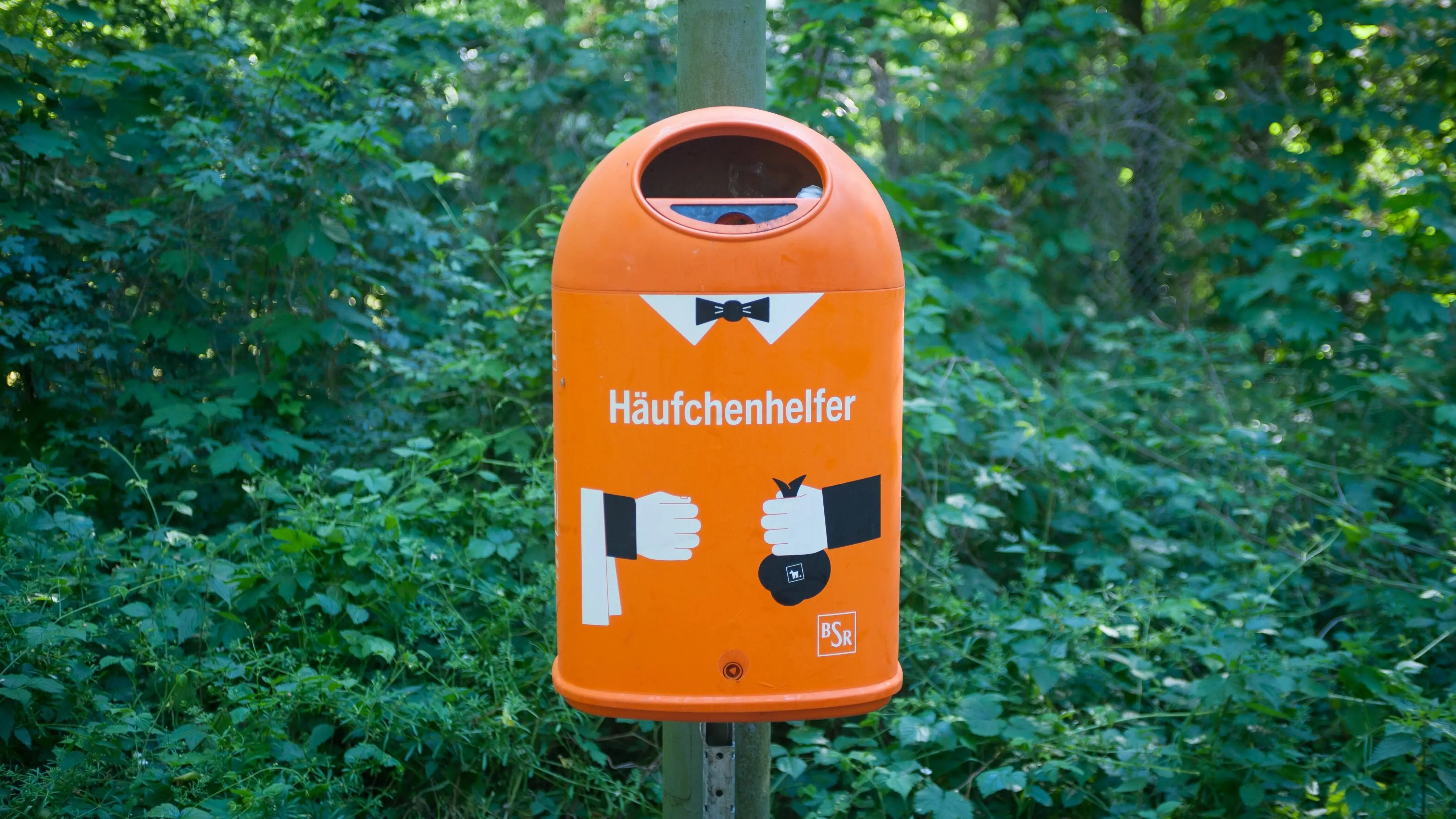 Ein Abfalleimer an einem Waldweg in Berlin Wannsee