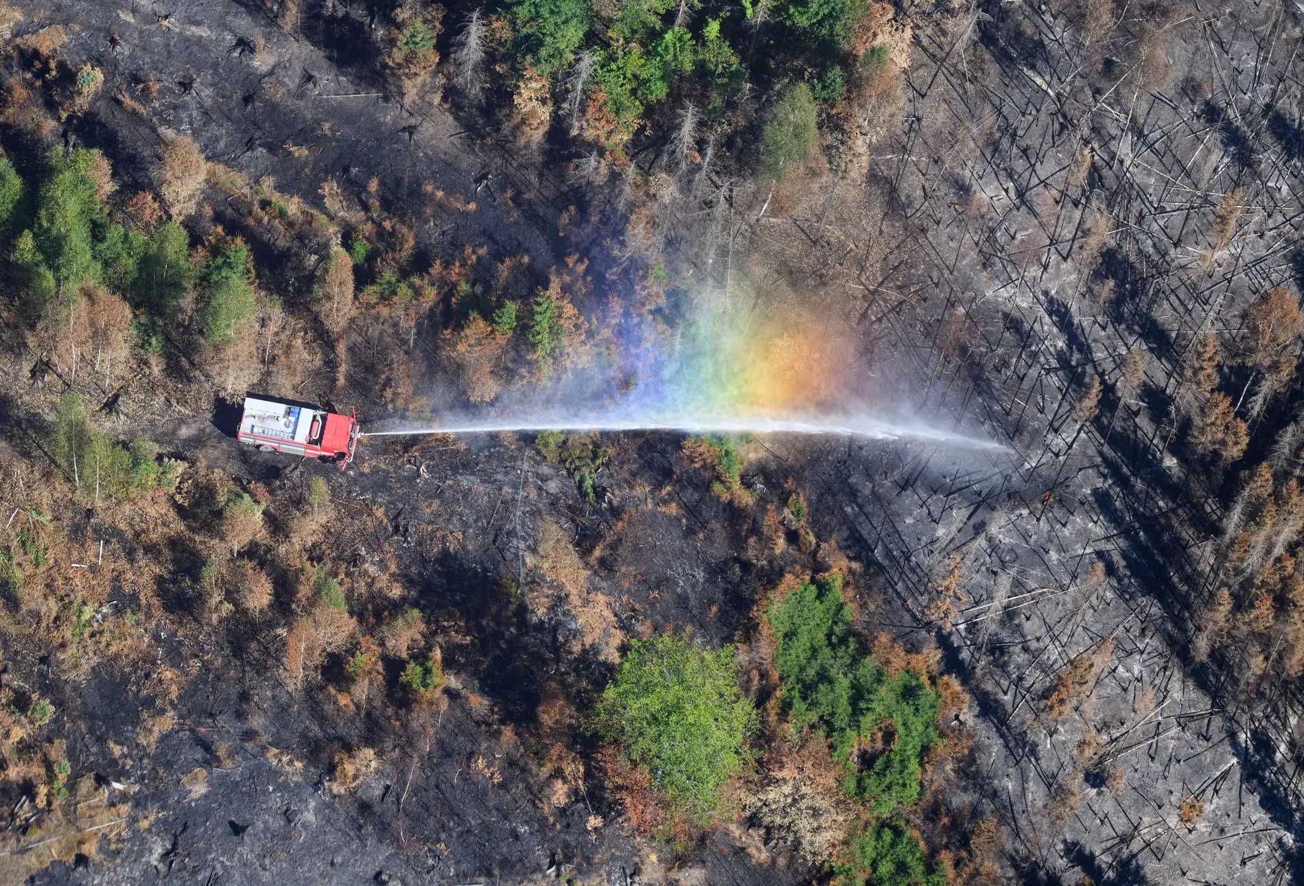 Löscharbeiten der Waldbrände im Nationalpark Sächsische Schweiz