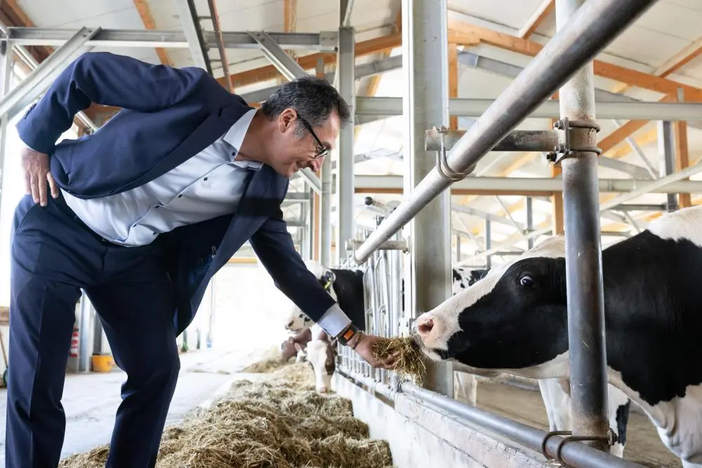 Das Bild zeigt Landwirtschaftsminister Cem Özdemir mit einer Kuh. 