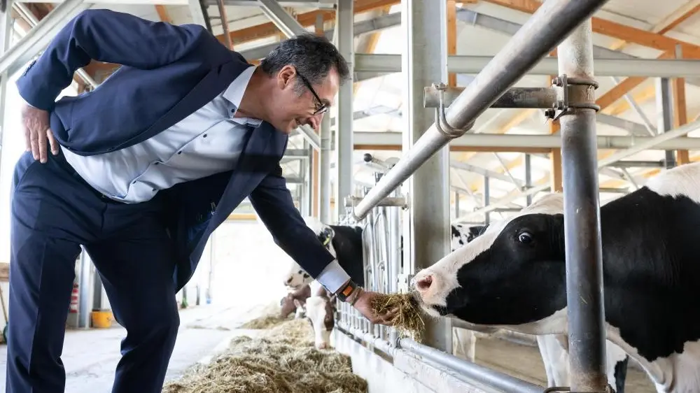 Landwirtschaftsminister Cem Özdemir Das Bild zeigt Landwirtschaftsminister Cem Özdemir mit einer Kuh.
