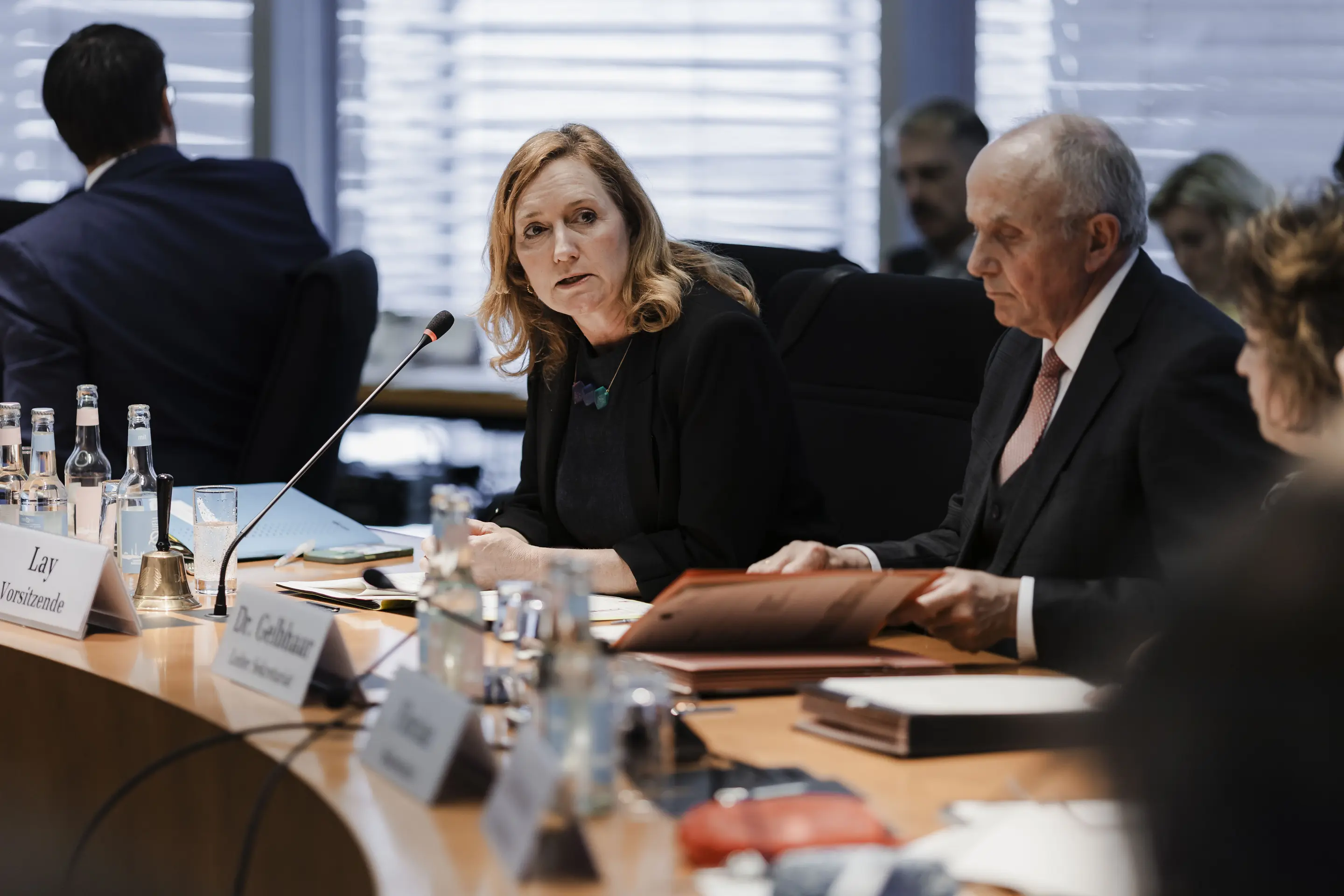 Caren Lay (Die Linke) Caren Lay im Ausschuss