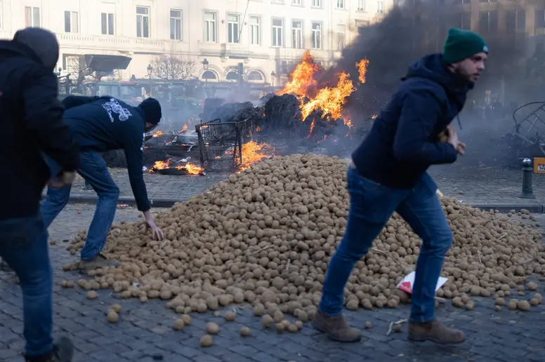 Demonstranten werfen in der Nähe des Europäischen Parlaments mit Kartoffeln.