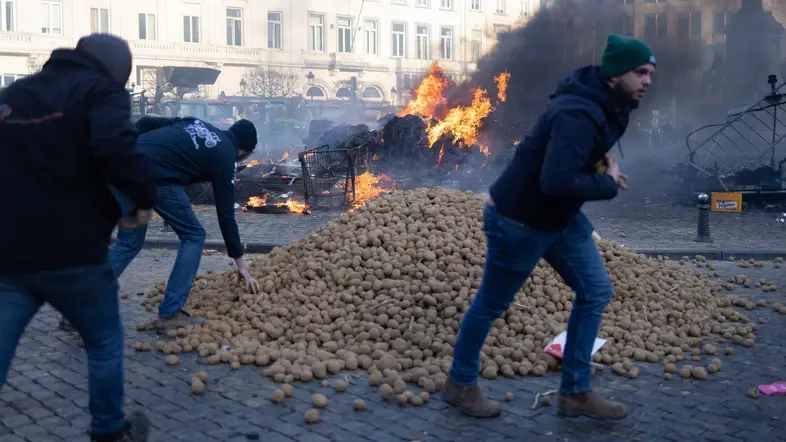 Demonstranten werfen in der Nähe des Europäischen Parlaments mit Kartoffeln.