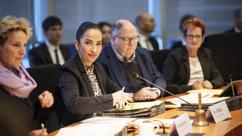 Hülya Düber im Ausschuss