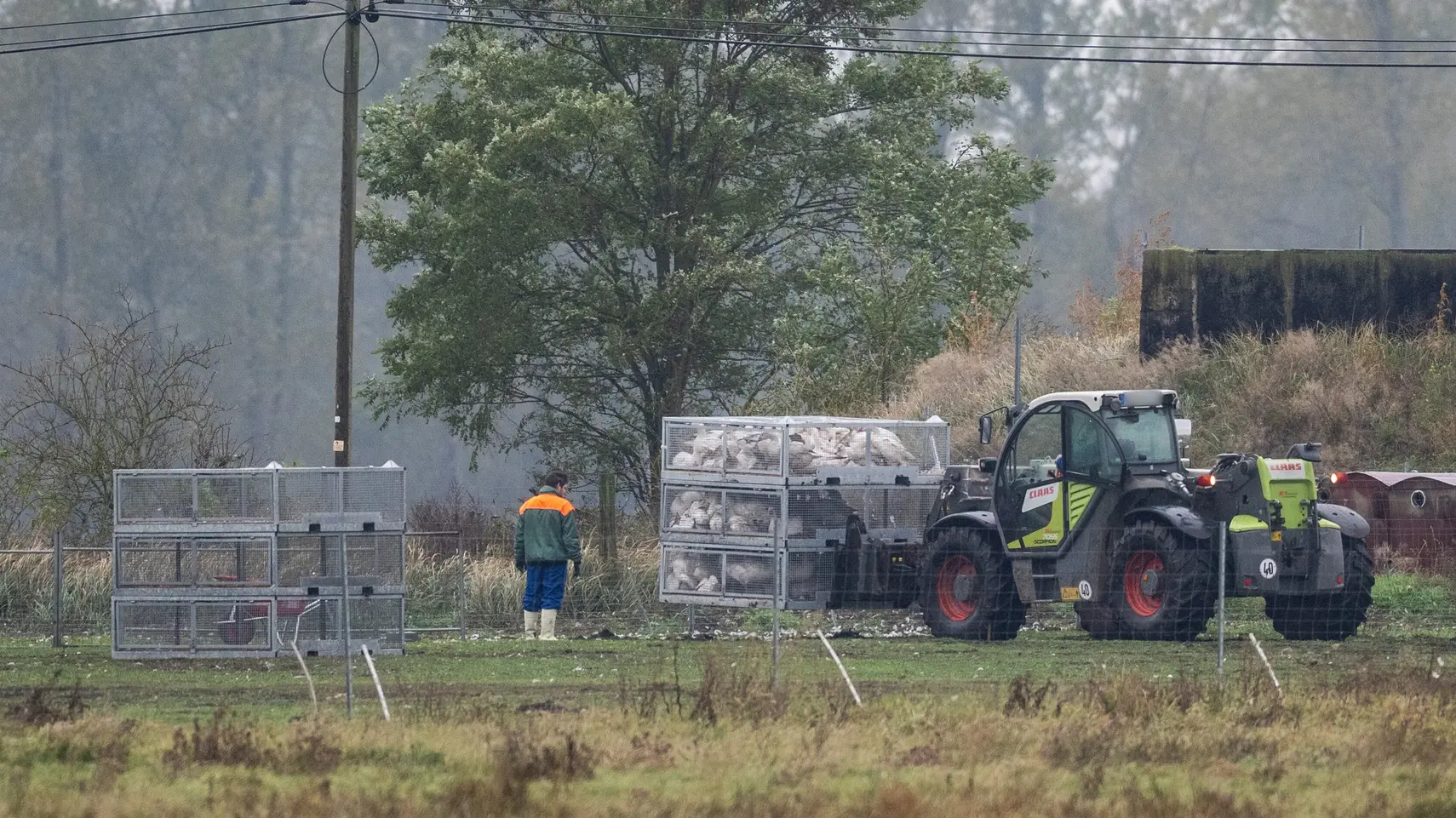 Höhere Entschädigungszahlungen für Tierhalter beschlossen