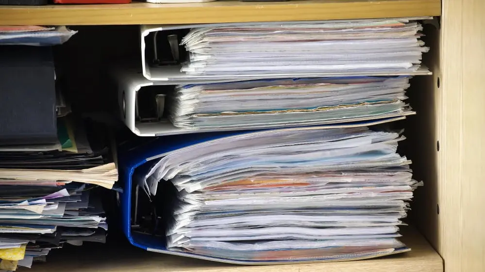 Mit Führung statt mit Kettensäge