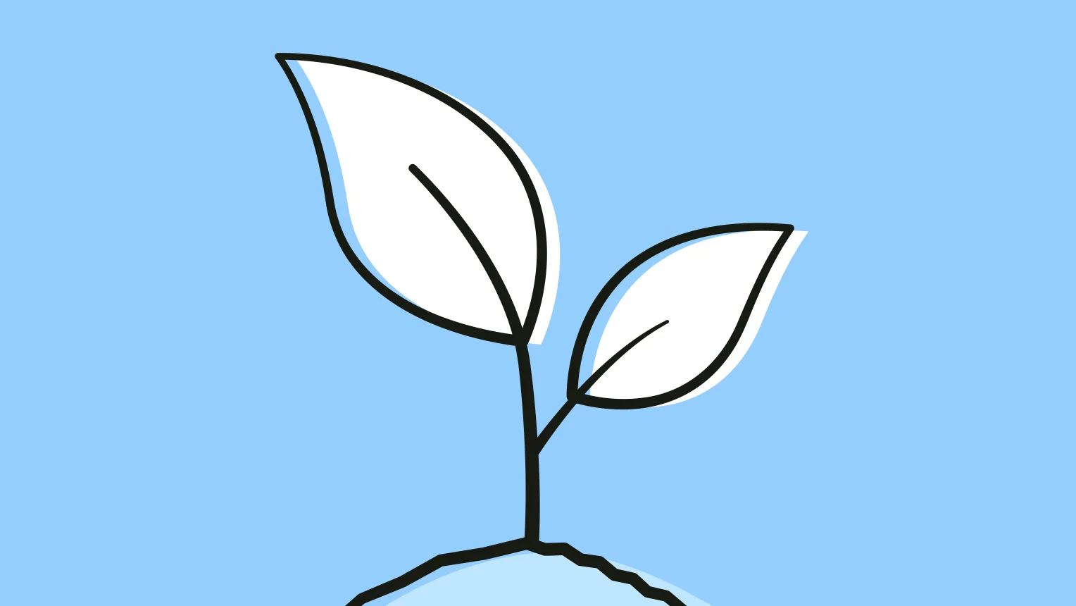 Illustration eines wachsenden Setzlings