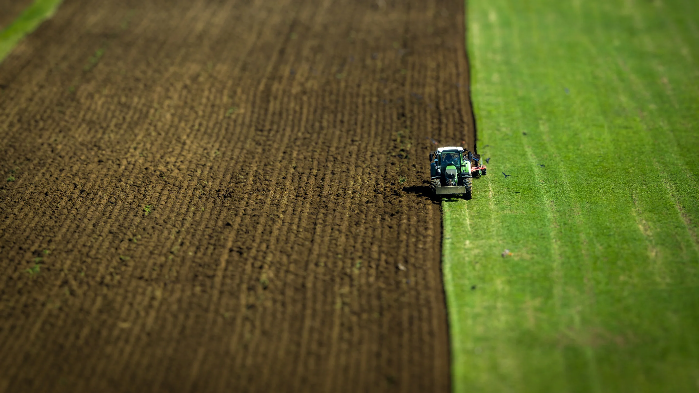 Ein Feld aus Vogelperspektive