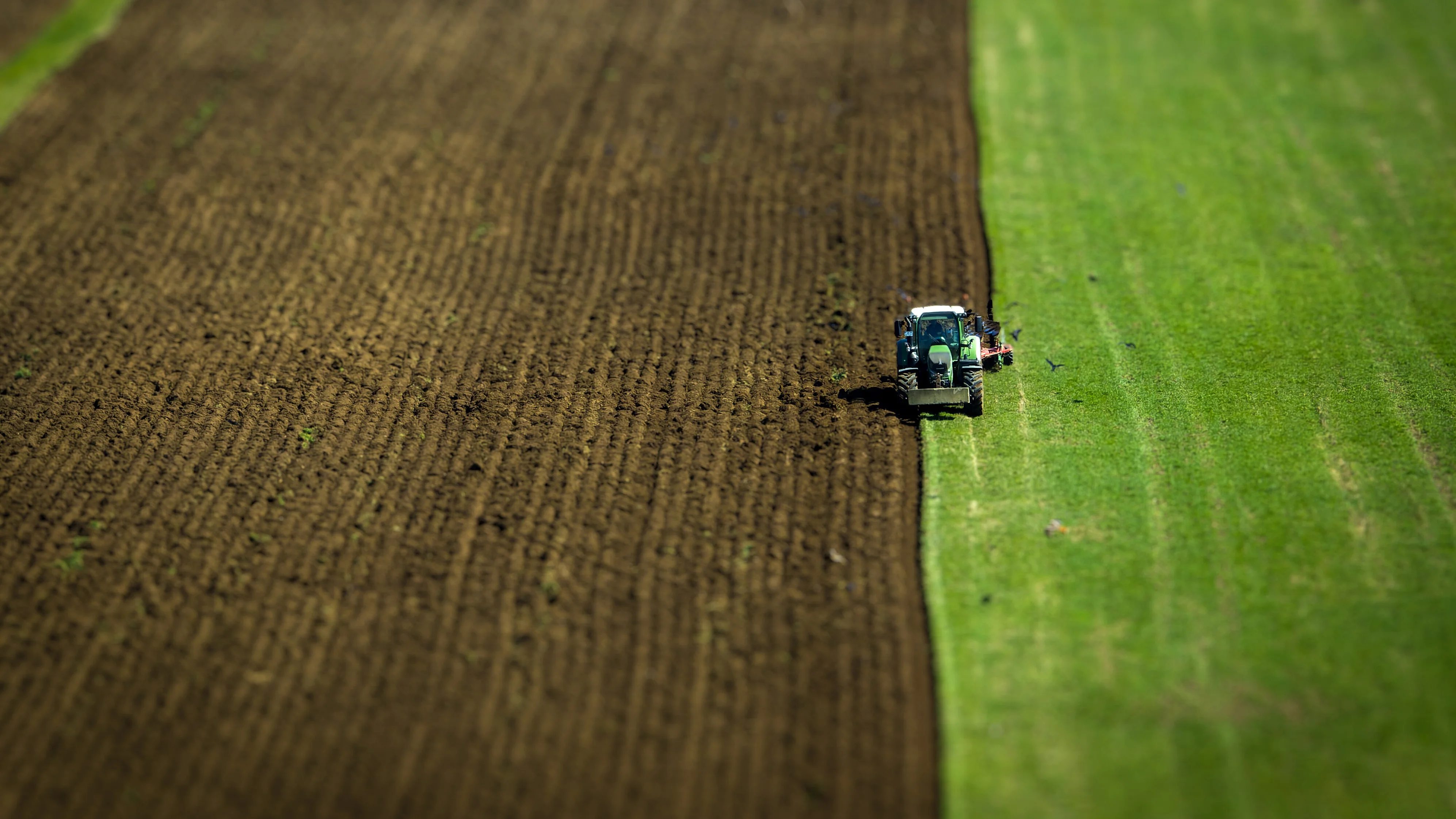 Ein Feld aus Vogelperspektive