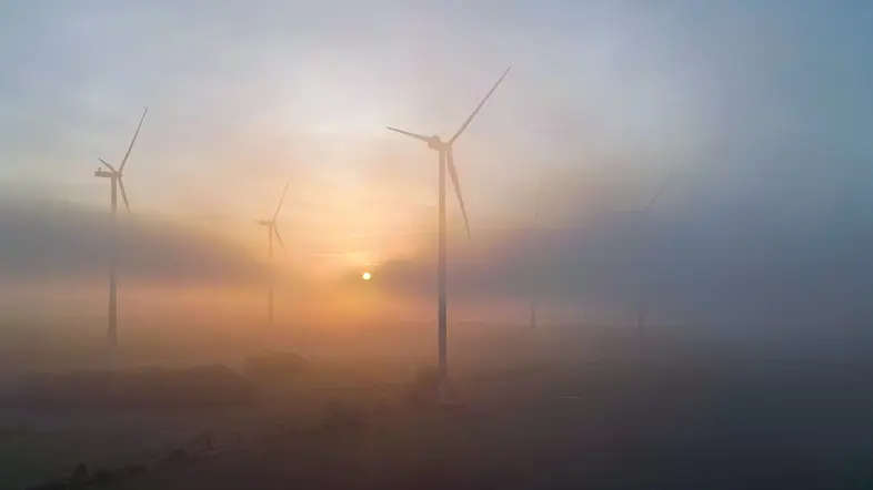Morgennebel zwischen Windenergieanlagen im östlichen Brandenburg