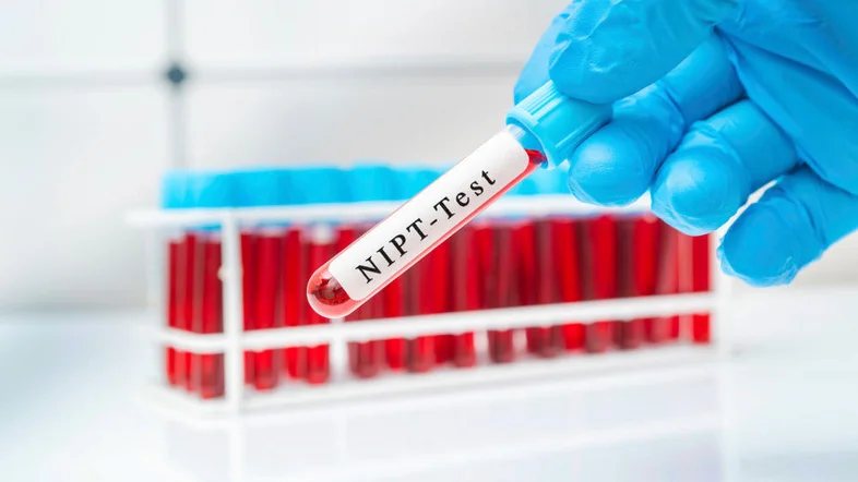 Symbolbild eines nicht-invasiven Pränataltests