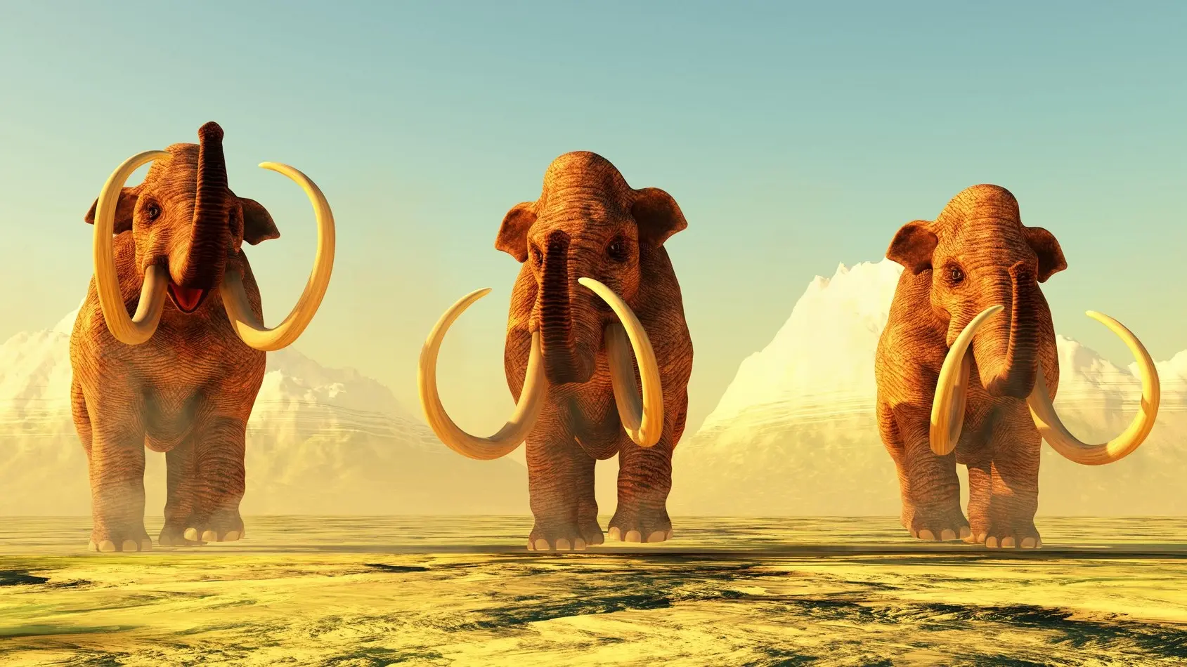 Illustration von drei Mammuts