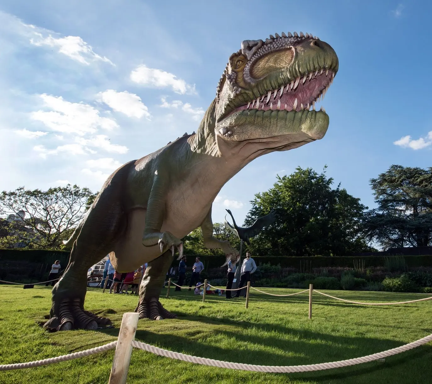 Dinosaurier in einer Ausstellung