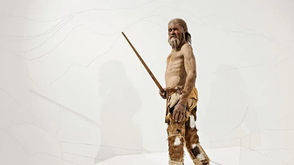 Rekonstruktion der berühmten Gletschermumie Ötzi im Südtiroler Archäologiemuseum