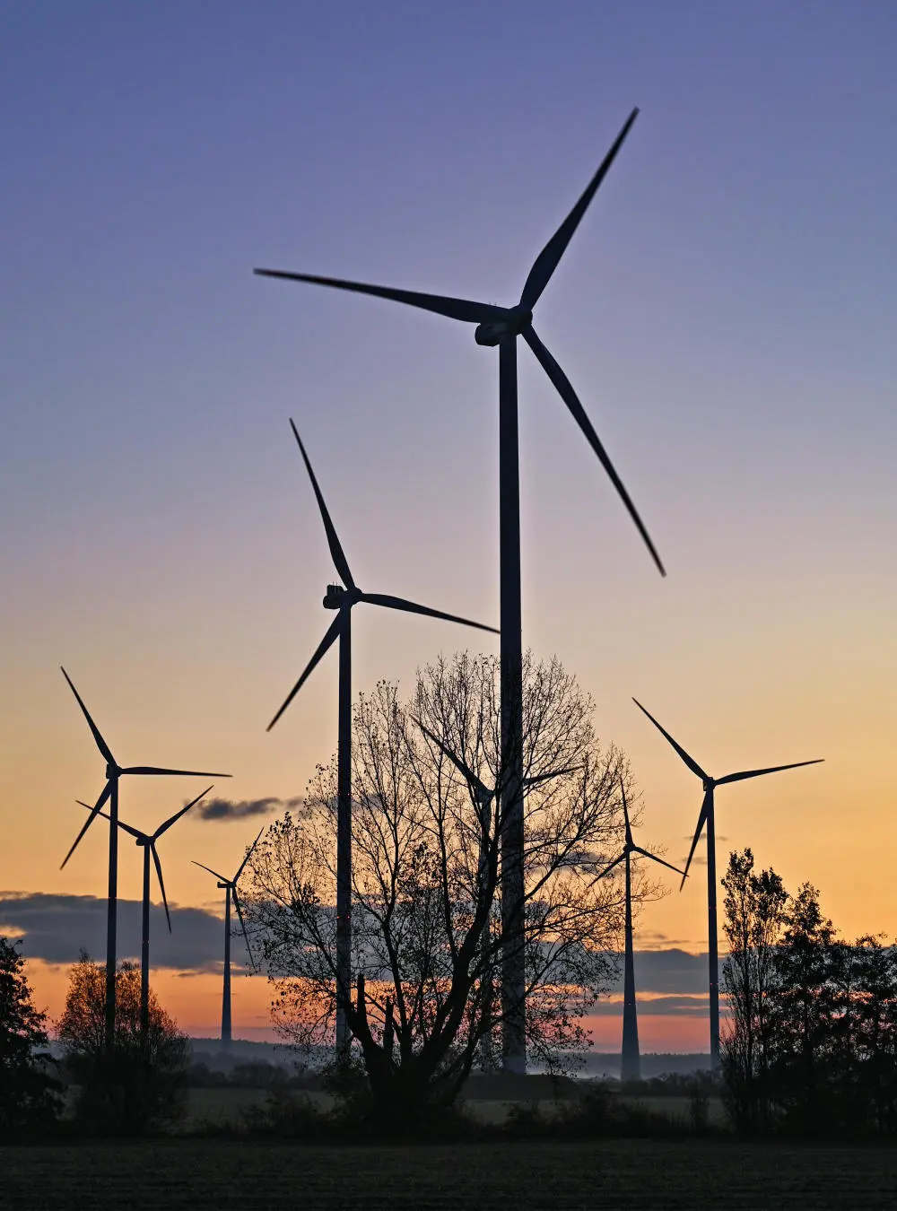 Windräder vor dem gefärbten klaren Himmel