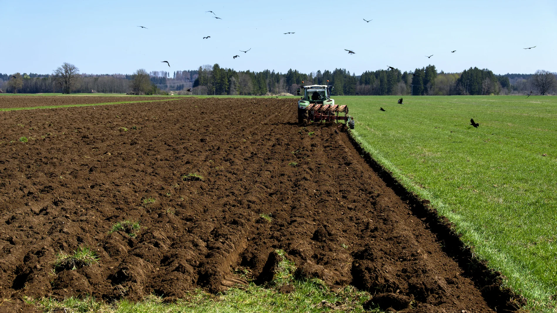 Landwirt pflügt sein Feld um
