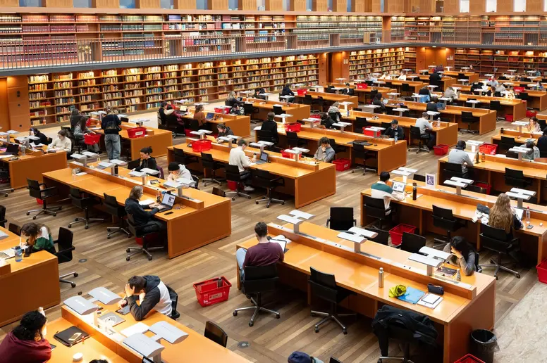 Viele Studenten sitzen im Lesesaal