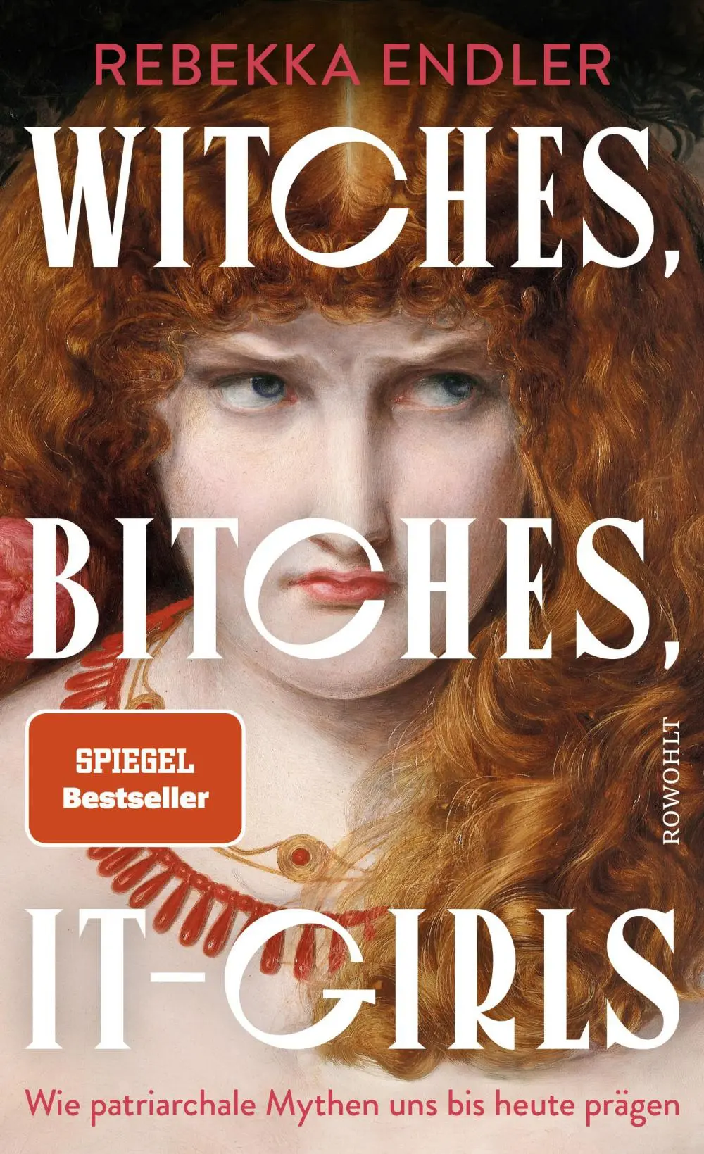Cover von "Witches Bitches IT-Girls"