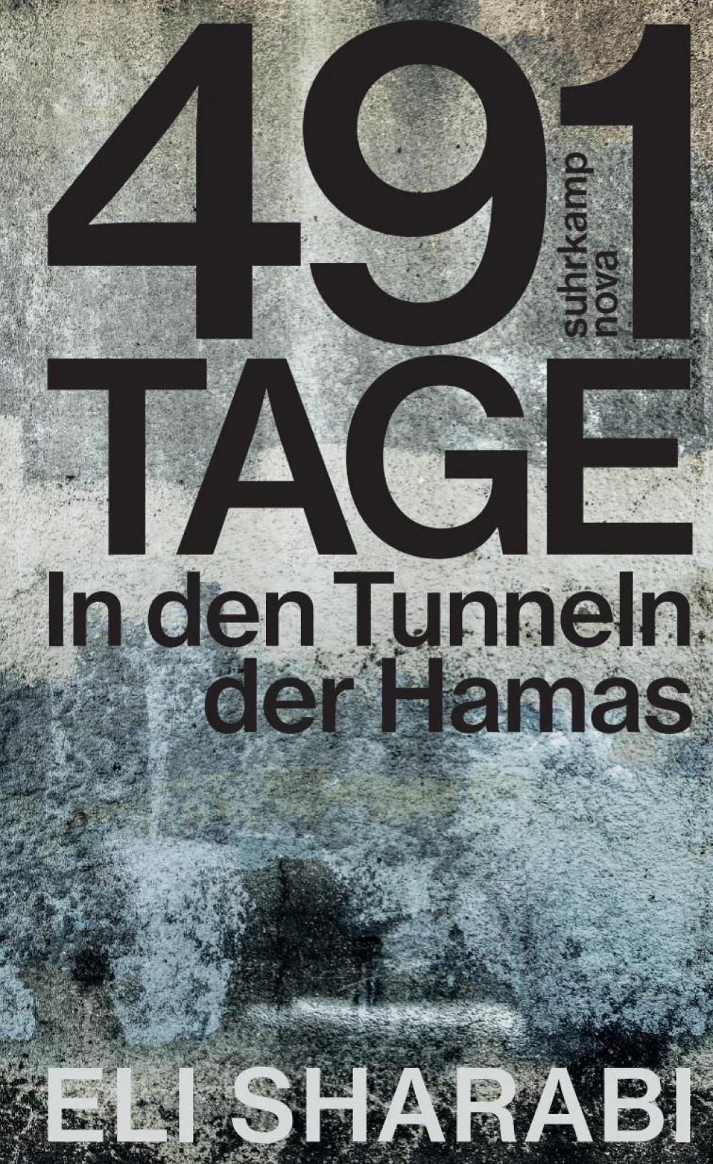 Cover von "491 Tage"