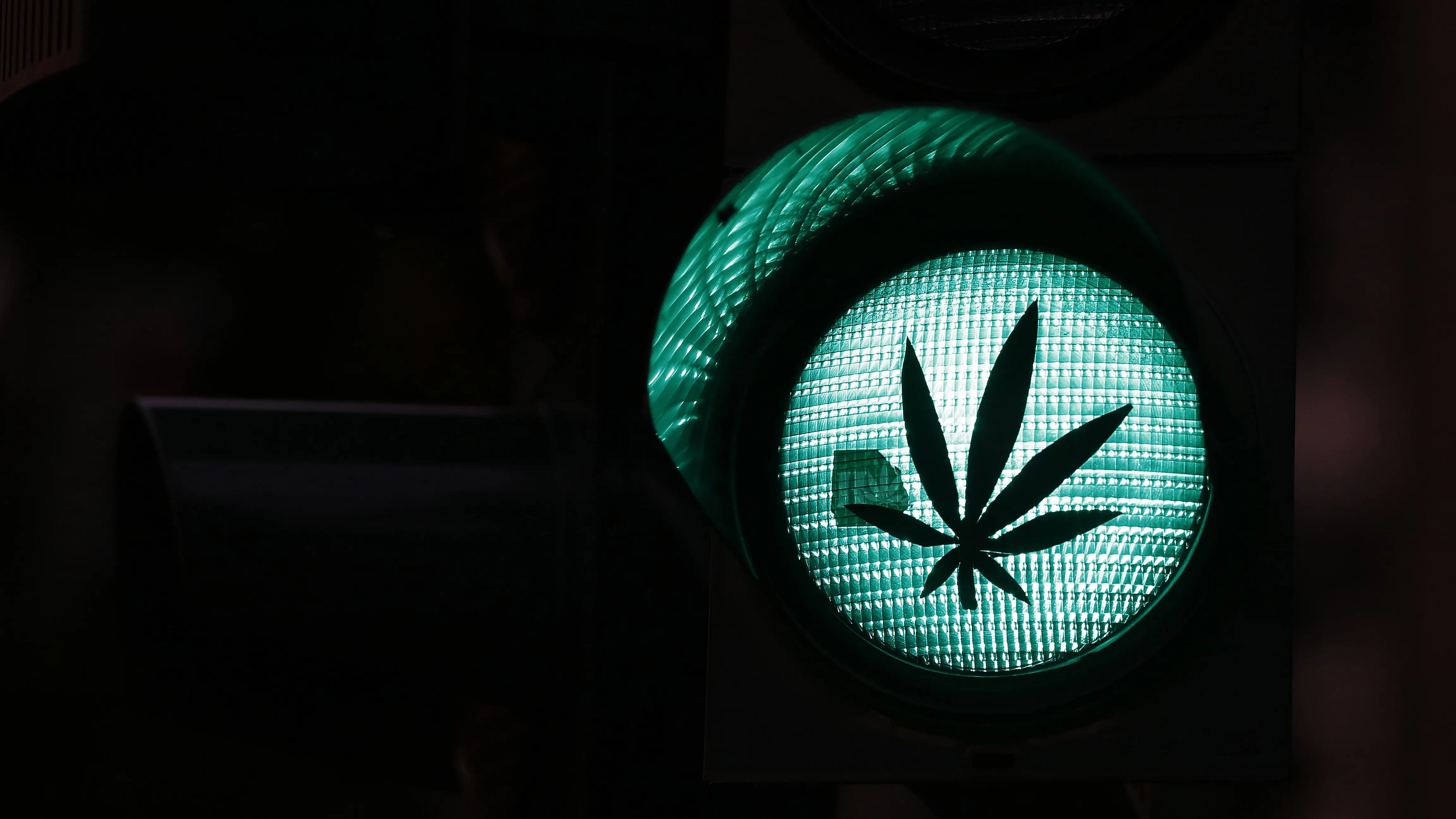 Die Grenzwerte für Cannabis im Straßenverkehr sind umstritten Eine grüne Ampel mit einem Hanfblatt-Aufkleber
