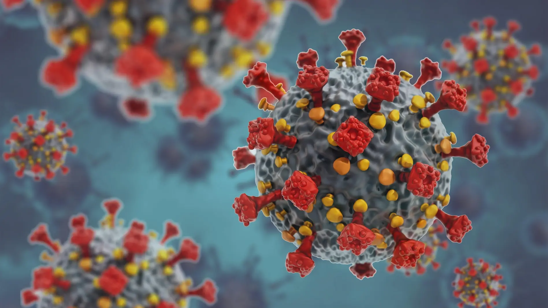 3D Grafik des Coronavirus