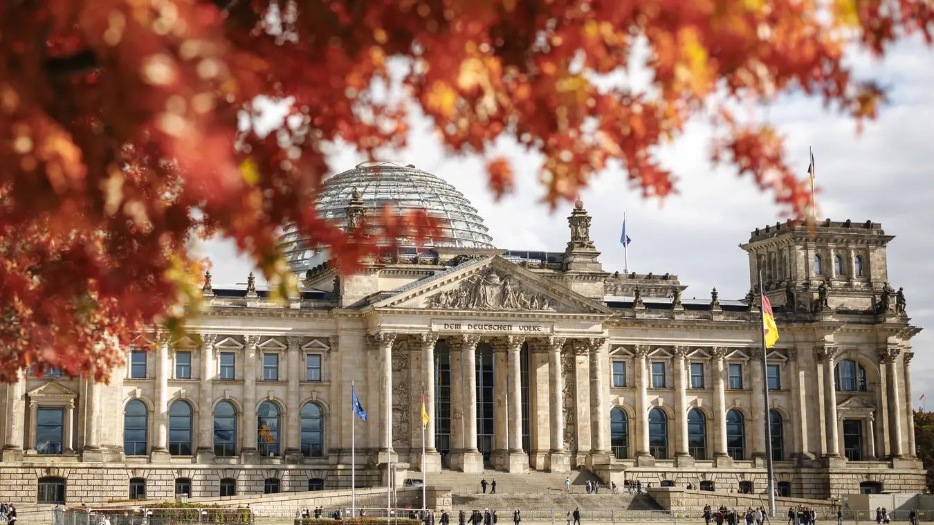 Reichstagsgebäude hinter einem herbstlichen Baum