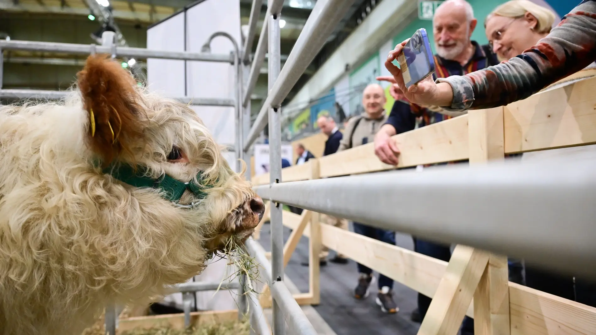 Wo geht’s hier zur Zukunft?