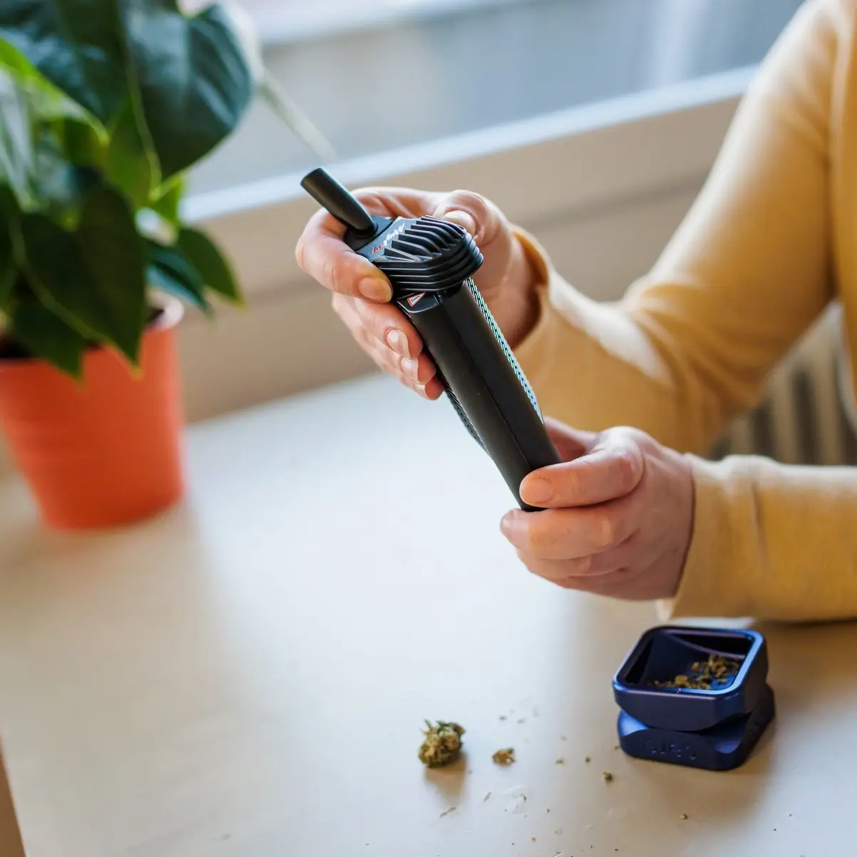 Ein Vaporizer wird von einer Person mit gelbem Pullover befüllt.