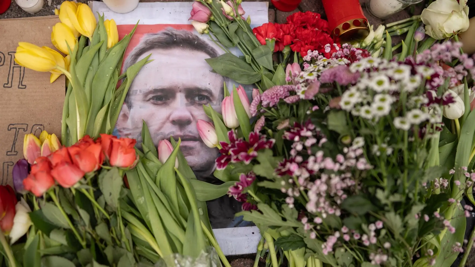 Ein Bild von Alexej Navalny inmitten von Blumen Ein Bild von Alexej Navalny inmitten von Blumen