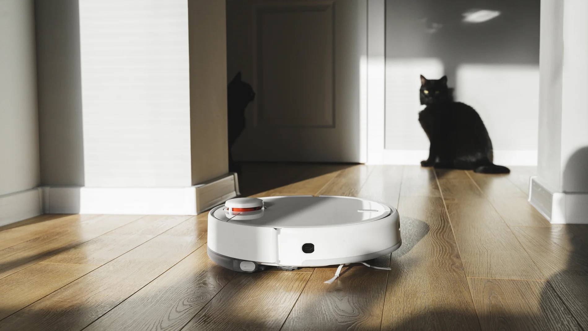 Saugroboter neben einer Katze