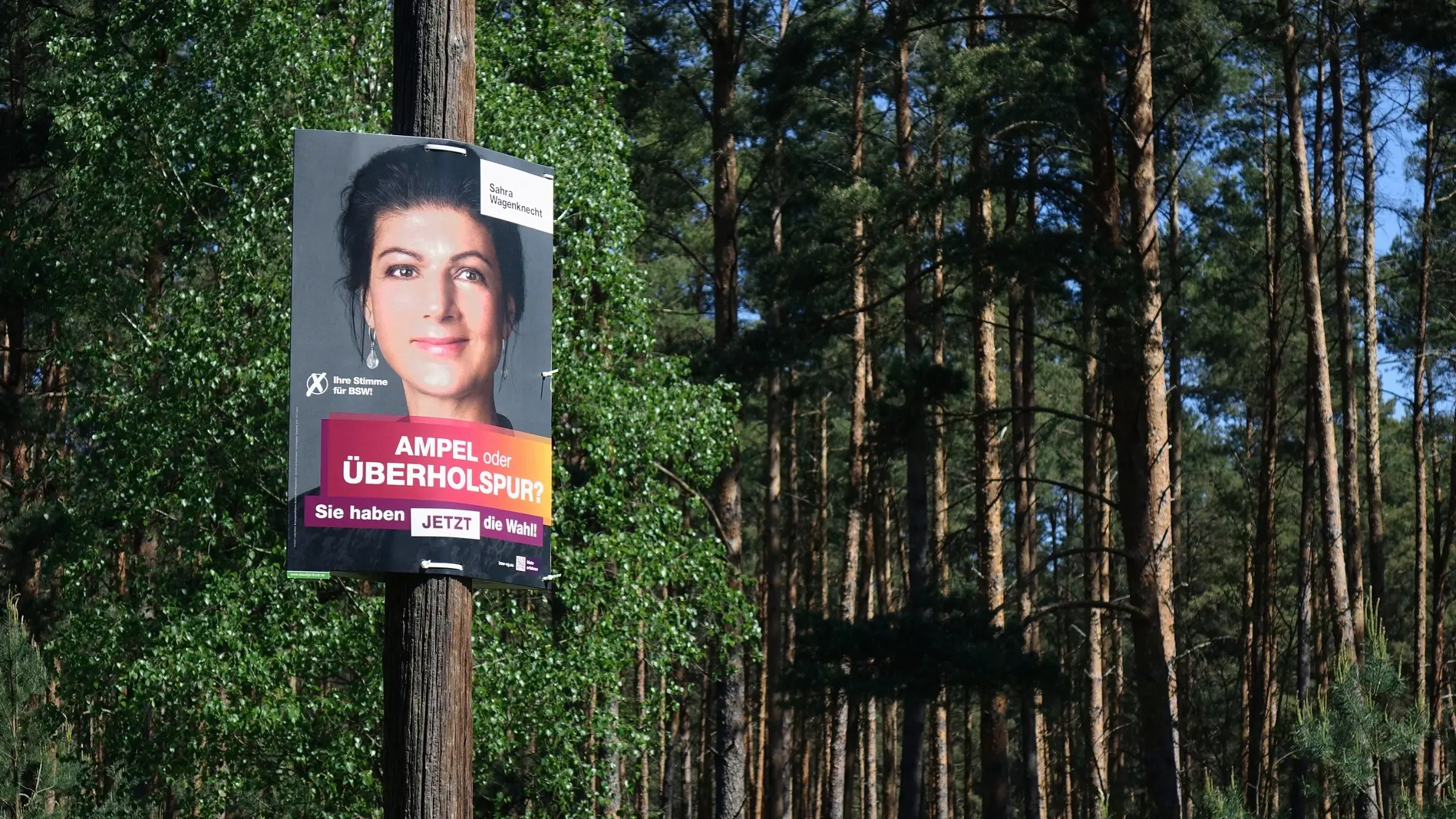 Ein Wahlkplakat mit Sahra Wagenknecht
