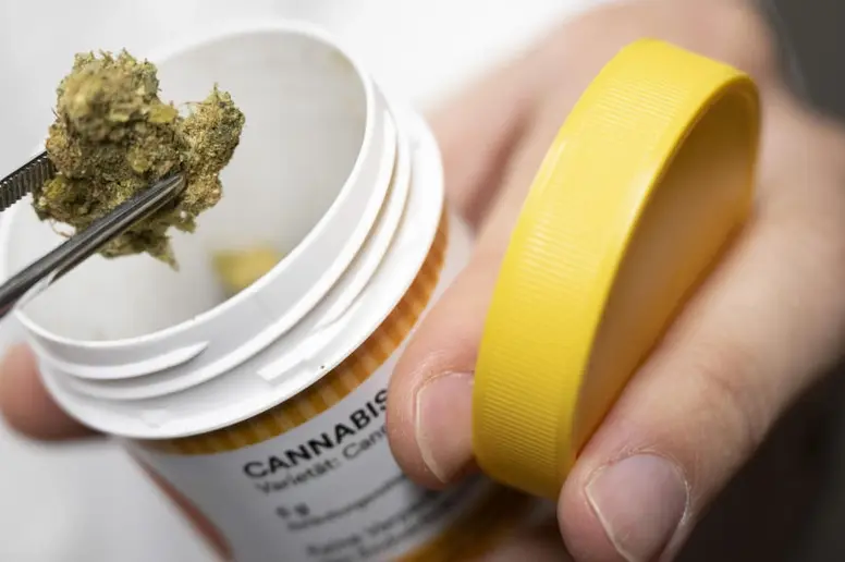 Cannabisblüten werden mit einer Pinzette aus einem Plastikdöschen entnommen.