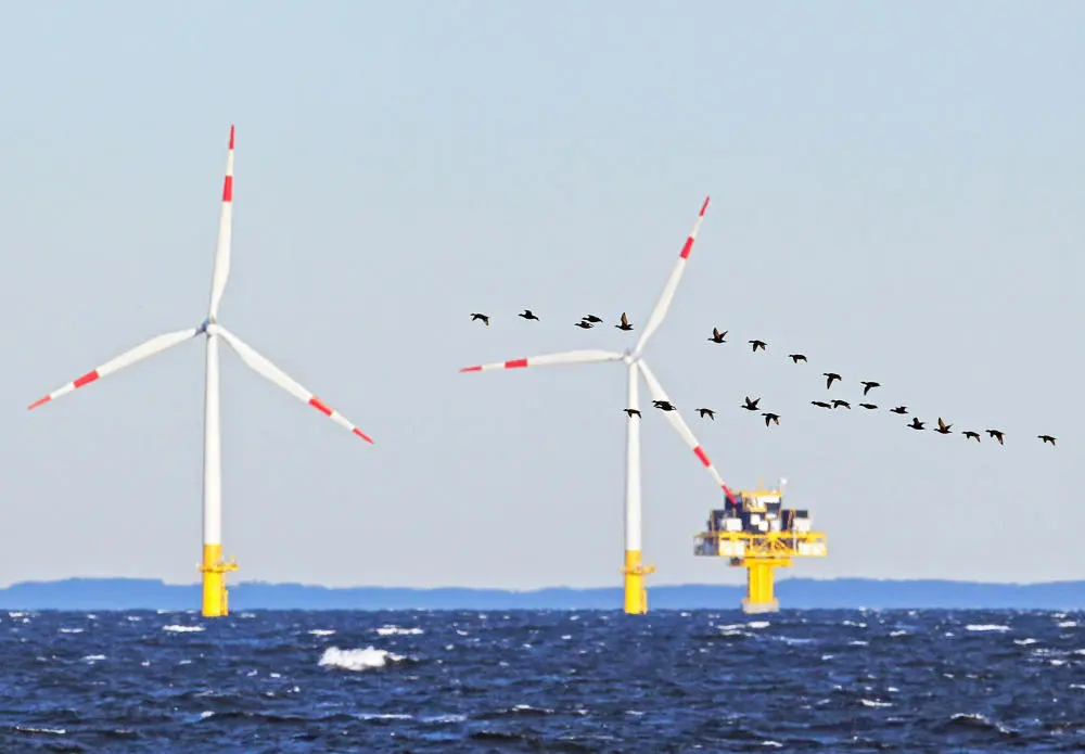 Windräder im Meer Das Bild zeigt Zugvögel und Windräder auf dem Meer.