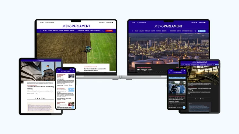 Webseite im Light Mode und im Dark Mode