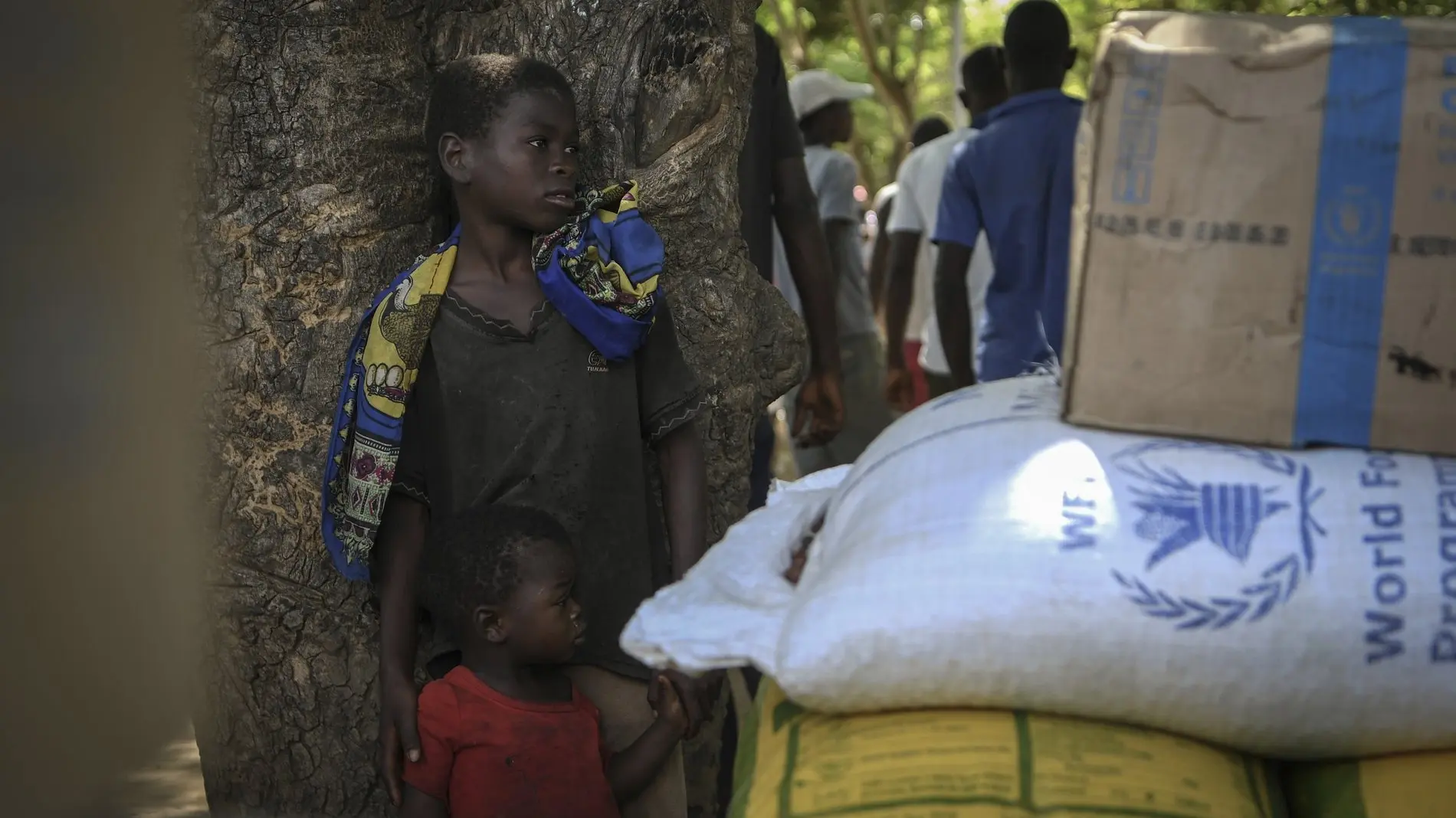 Mehr zum Thema Experten fordern mehr Geld für humanitäre Hilfe