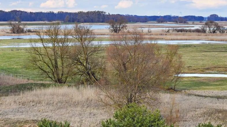 Der Nationalpark Unteres Odertal am deutsch-polnischen Grenzfluss Oder.