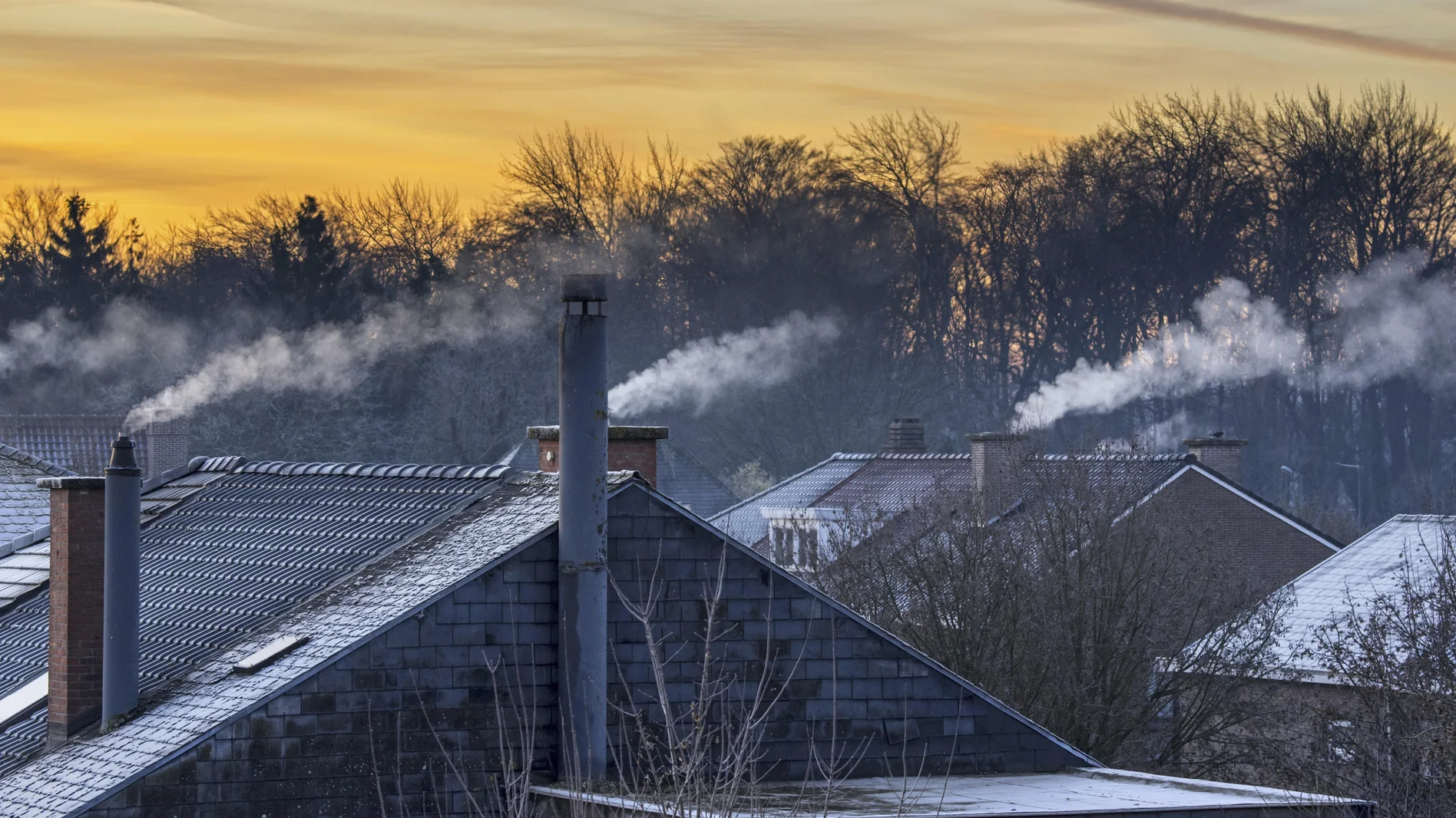 Grüne werfen Koalition "Totalaufgabe" vor