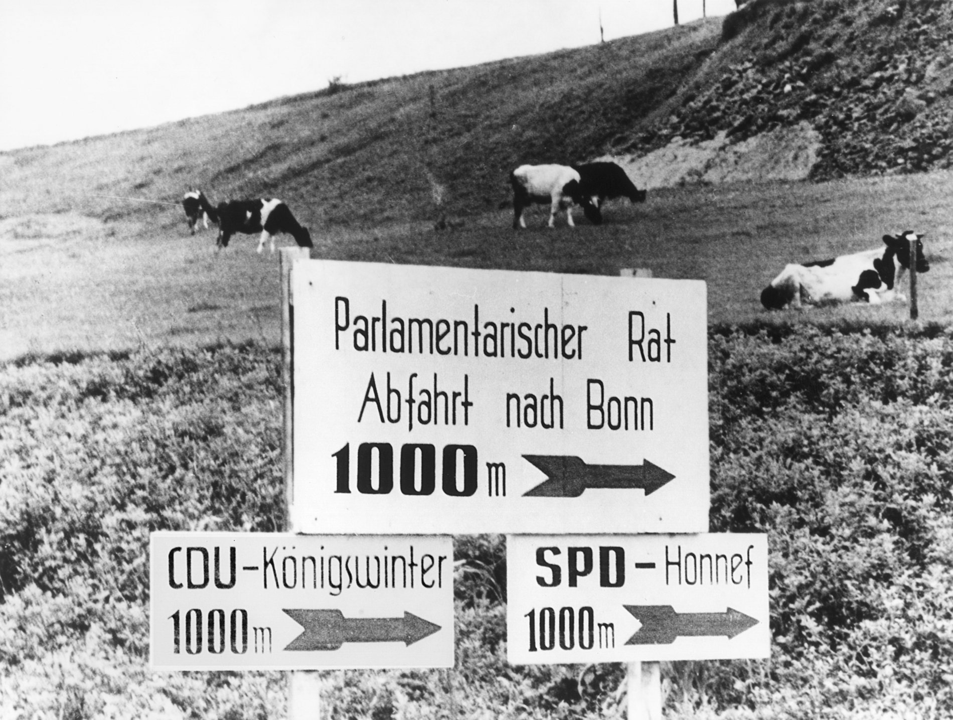 75 Jahre Parlamentarischer Rat Wiedergeburt der Demokratie